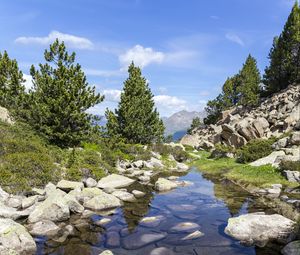 Preview wallpaper stones, stream, trees