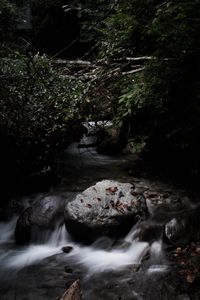 Preview wallpaper stones, stream, trees, dark