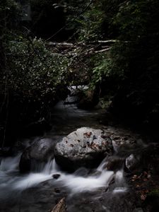 Preview wallpaper stones, stream, trees, dark