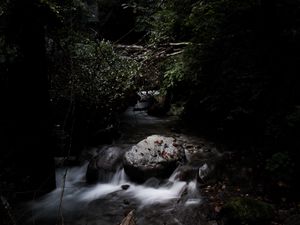 Preview wallpaper stones, stream, trees, dark