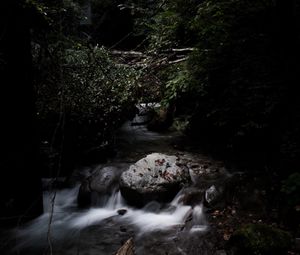 Preview wallpaper stones, stream, trees, dark