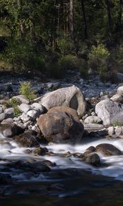 Preview wallpaper stones, stream, trees, landscape