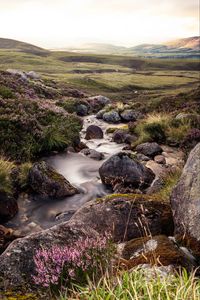 Preview wallpaper stones, stream, valley, hills