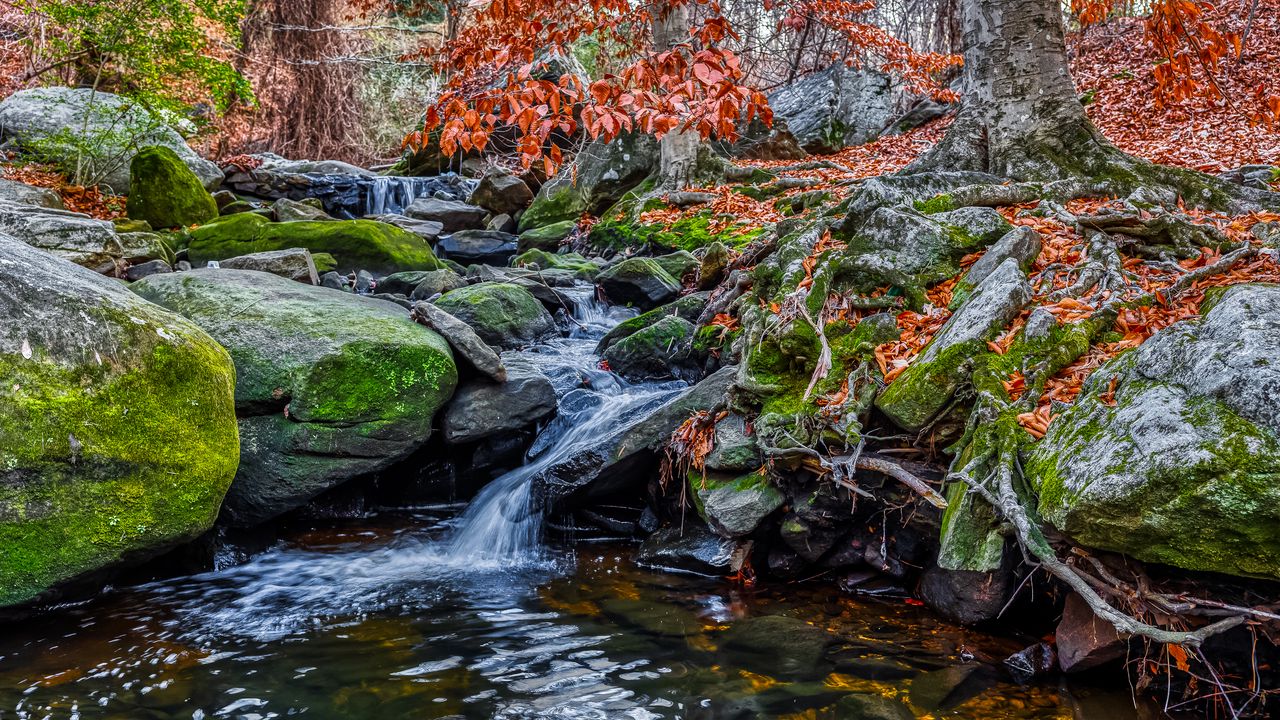 Wallpaper stones, stream, water, nature, landscape