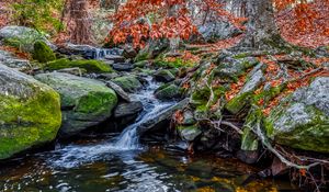 Preview wallpaper stones, stream, water, nature, landscape