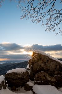 Preview wallpaper stones, sun, snow, winter, branches, nature