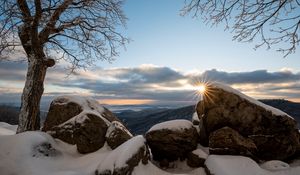 Preview wallpaper stones, sun, snow, winter, branches, nature