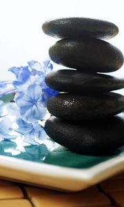Preview wallpaper stones, therapy, flowers, massage