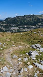 Preview wallpaper stones, trail, trees, mountain