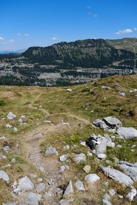 Preview wallpaper stones, trail, trees, mountain