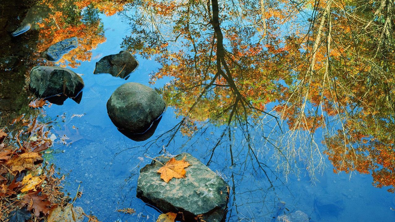 Wallpaper stones, water, autumn