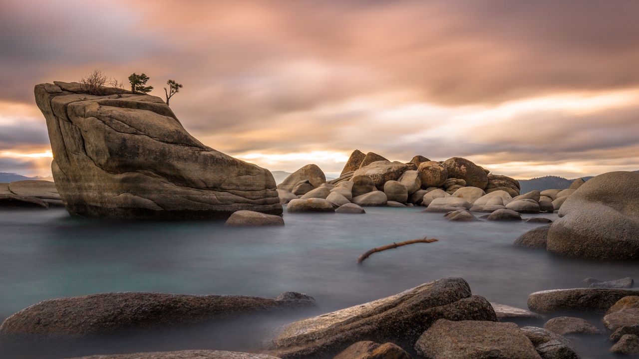 Wallpaper stones, water, branch, nature