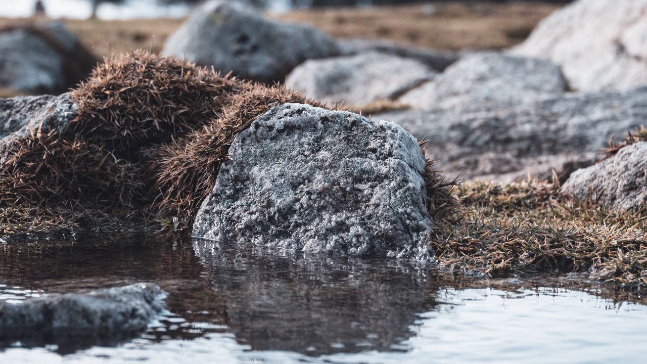 Wallpaper stones, water, grass, nature