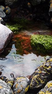 Preview wallpaper stones, water, pool, moss, porous, silt