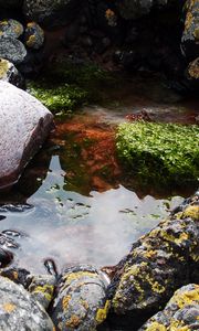 Preview wallpaper stones, water, pool, moss, porous, silt