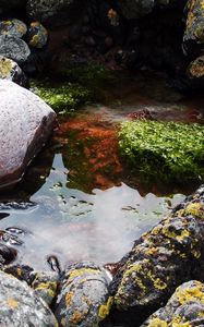 Preview wallpaper stones, water, pool, moss, porous, silt