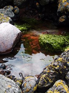 Preview wallpaper stones, water, pool, moss, porous, silt