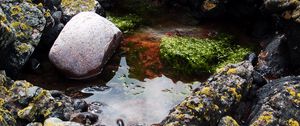 Preview wallpaper stones, water, pool, moss, porous, silt