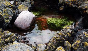 Preview wallpaper stones, water, pool, moss, porous, silt