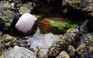 Preview wallpaper stones, water, pool, moss, porous, silt