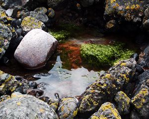 Preview wallpaper stones, water, pool, moss, porous, silt