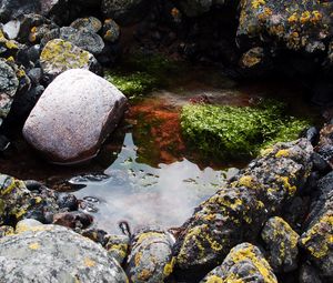 Preview wallpaper stones, water, pool, moss, porous, silt