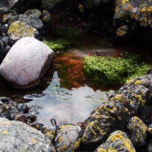 Preview wallpaper stones, water, pool, moss, porous, silt