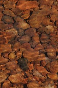 Preview wallpaper stones, water, ripples, distortion, stone