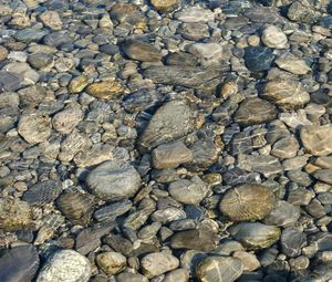 Preview wallpaper stones, water, ripples, transparent