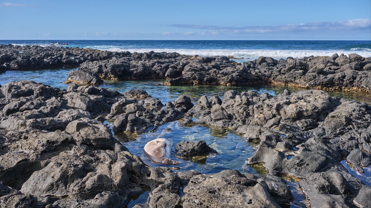 Wallpaper stones, water, sea, horizon, nature