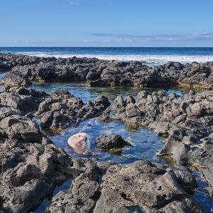Preview wallpaper stones, water, sea, horizon, nature