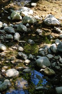 Preview wallpaper stones, water, shadows, stream, moss