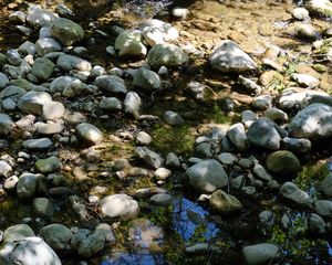 Preview wallpaper stones, water, shadows, stream, moss