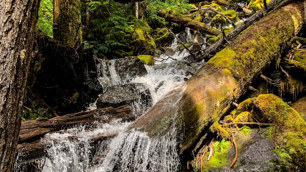 Wallpaper stones, water, stream, nature