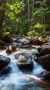 Preview wallpaper stones, water, stream, trees, nature