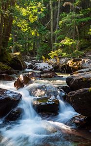 Preview wallpaper stones, water, stream, trees, nature