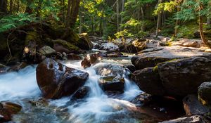 Preview wallpaper stones, water, stream, trees, nature