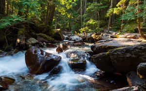 Preview wallpaper stones, water, stream, trees, nature