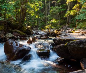 Preview wallpaper stones, water, stream, trees, nature