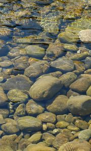 Preview wallpaper stones, water, transparent, body of water, bottom