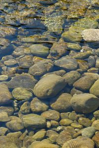 Preview wallpaper stones, water, transparent, body of water, bottom