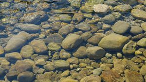 Preview wallpaper stones, water, transparent, body of water, bottom