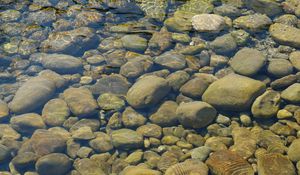 Preview wallpaper stones, water, transparent, body of water, bottom