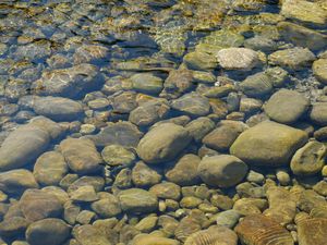 Preview wallpaper stones, water, transparent, body of water, bottom