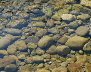 Preview wallpaper stones, water, transparent, body of water, bottom