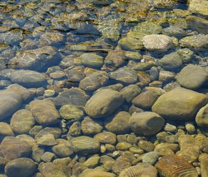 Preview wallpaper stones, water, transparent, body of water, bottom