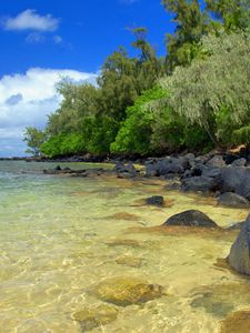 Preview wallpaper stones, water, transparent, protected, sand, trees, summer, heat