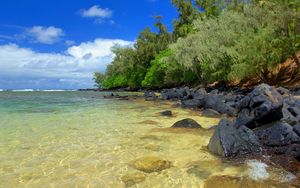 Preview wallpaper stones, water, transparent, protected, sand, trees, summer, heat