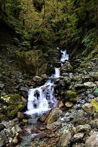 Preview wallpaper stones, waterfall, trees, nature