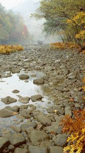 Preview wallpaper stones, wood, fern, autumn